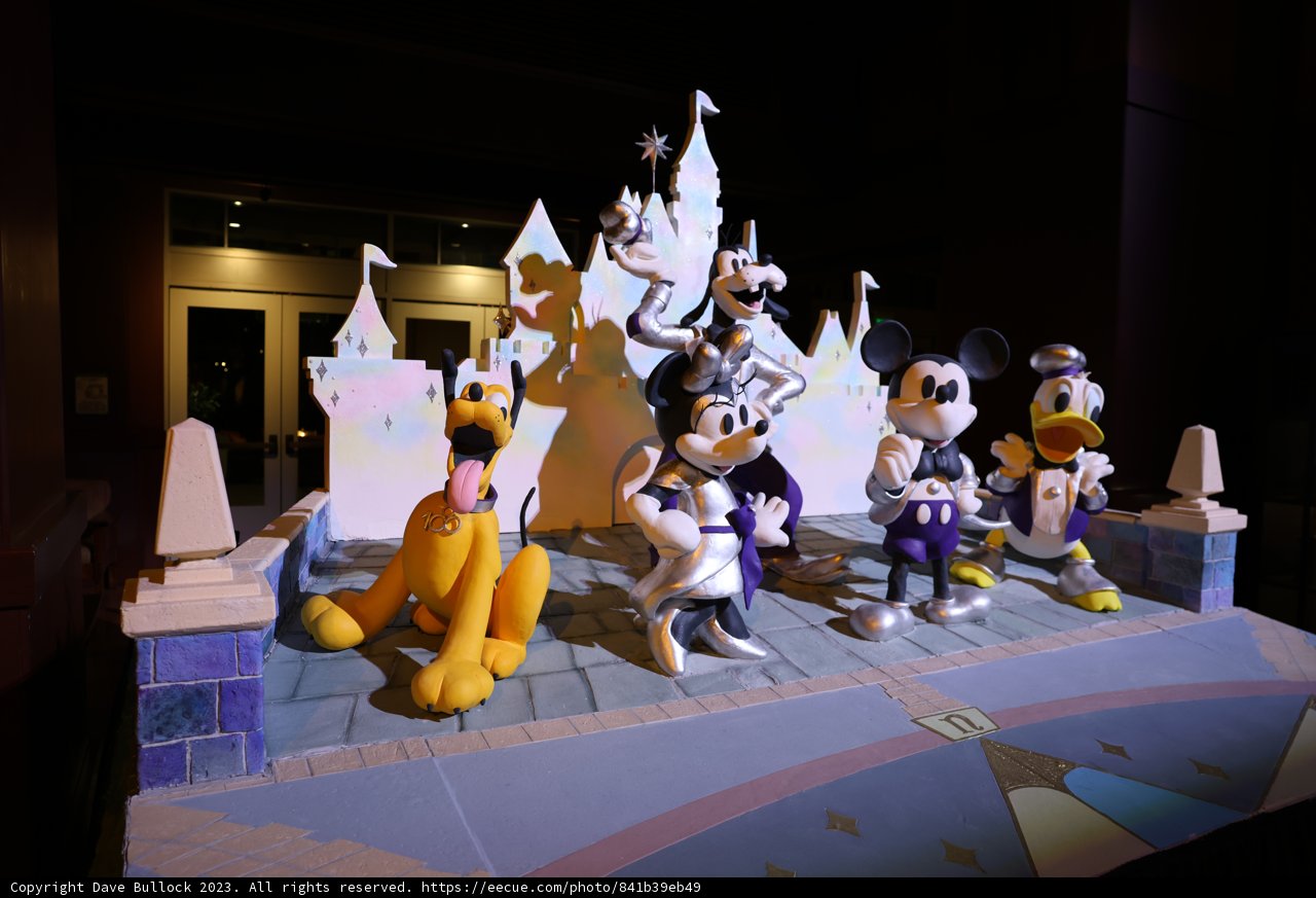 Magical Disney Adventure