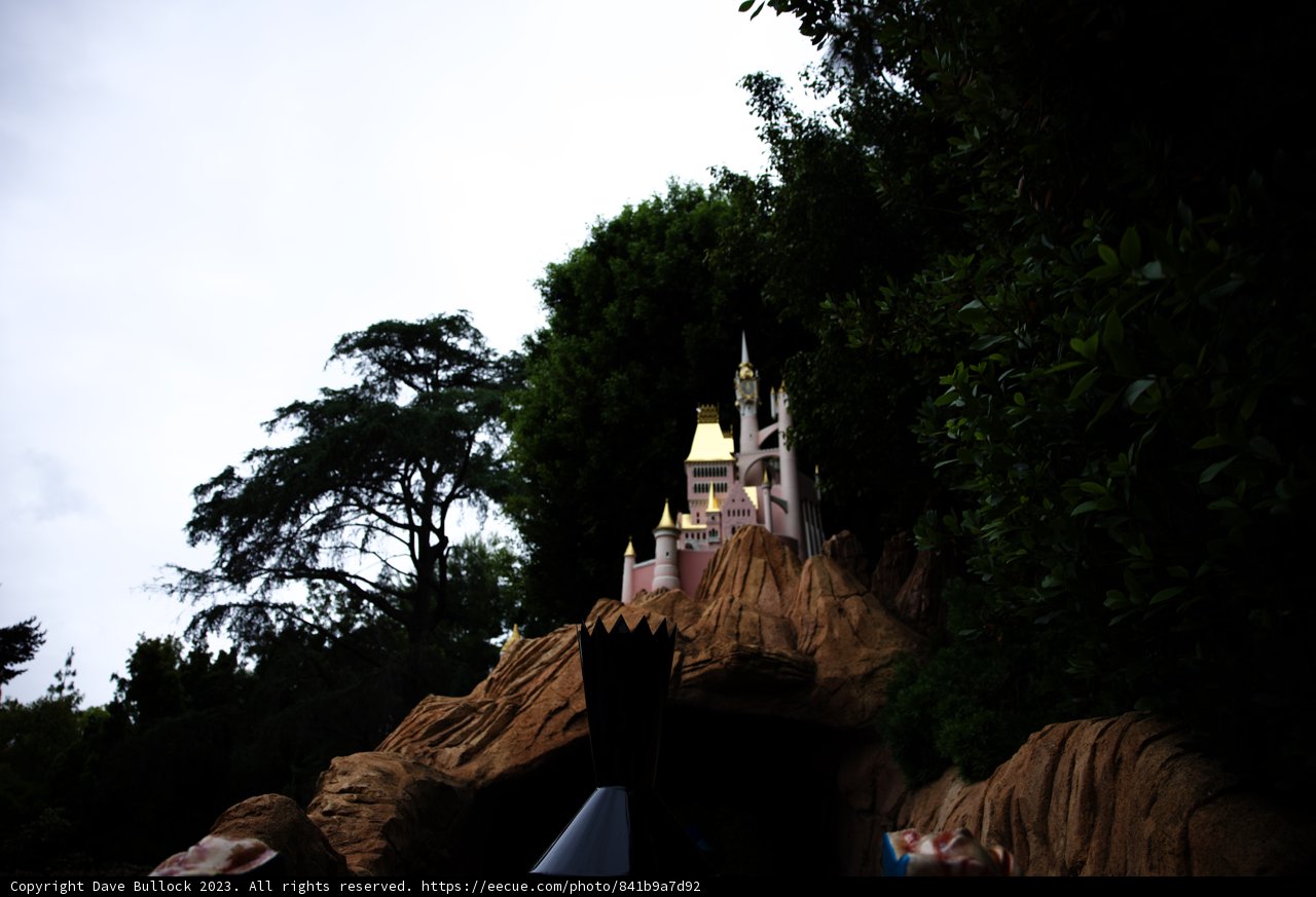 Magical Moments at Disneyland Castle