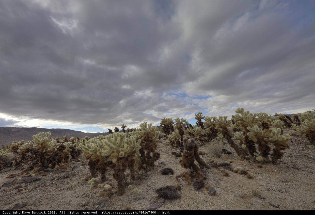 Majestic Desert Landscape