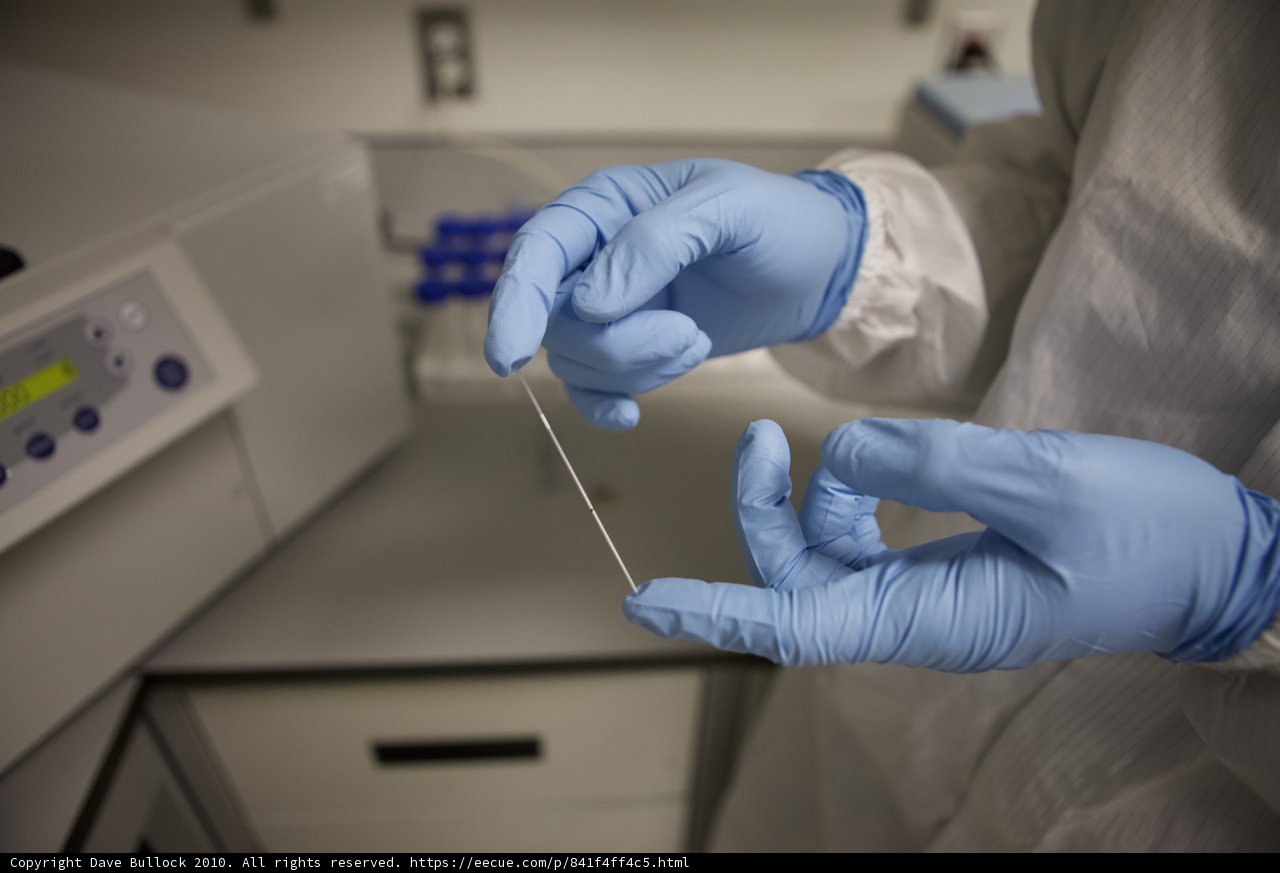 Examining a Sample in the Lab