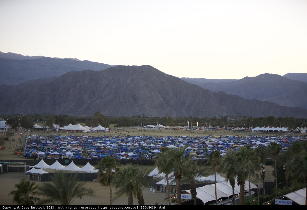 Camping in the Palm Tree Paradise