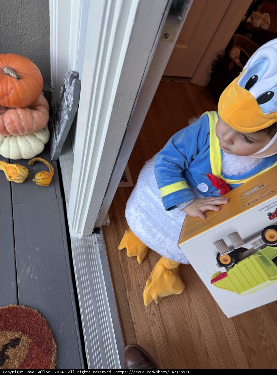 Little Duckling's Halloween Adventure