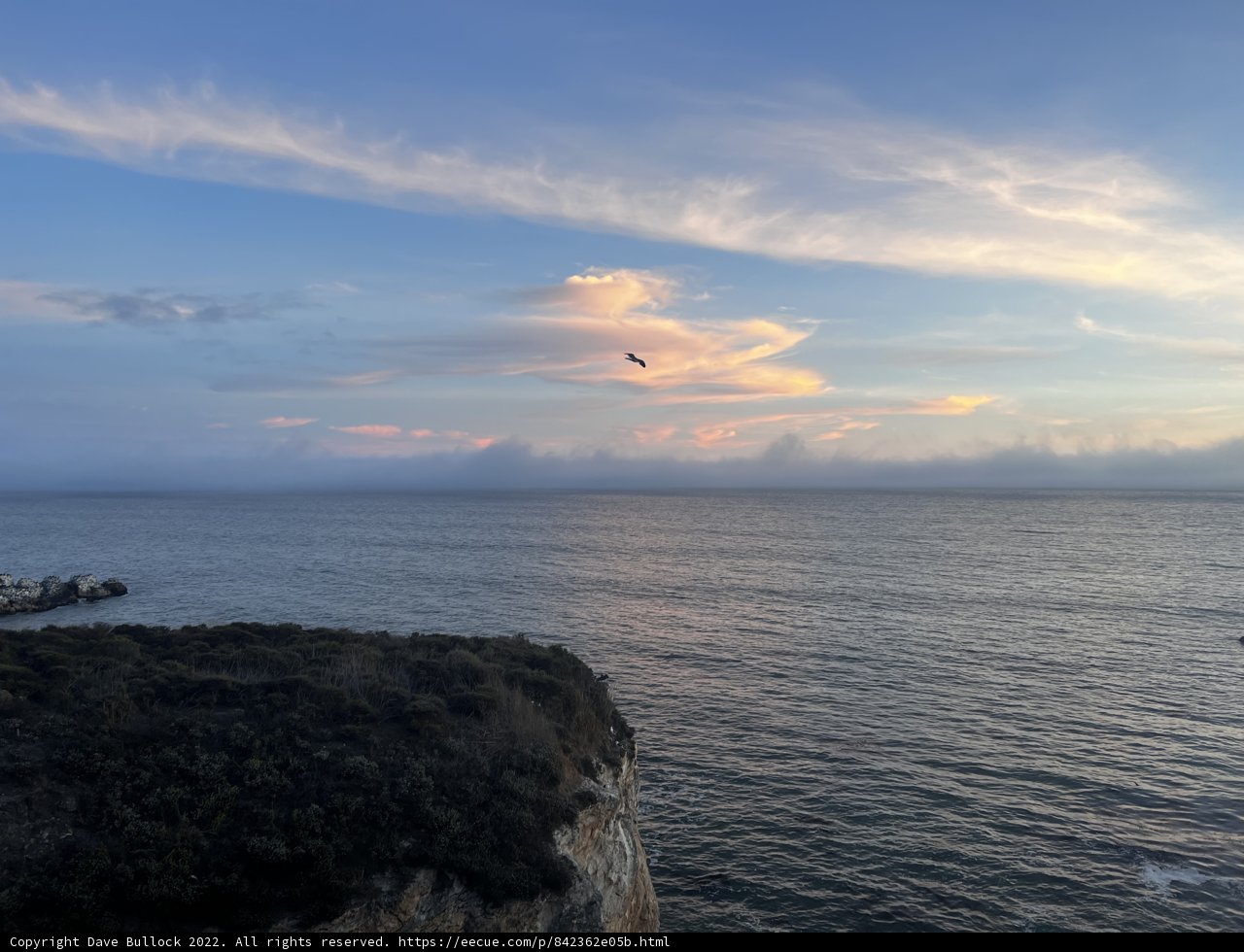 Sunset Flight