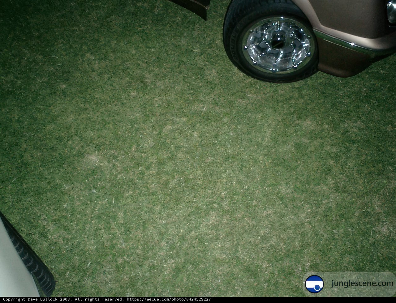 Parked Car on the Green Grass