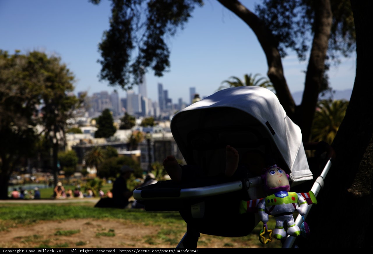 Baby's Day Out - Delores Park, 2023