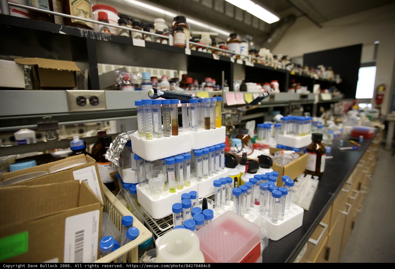 Inside the Busy and Buzzing UCLA Laboratory