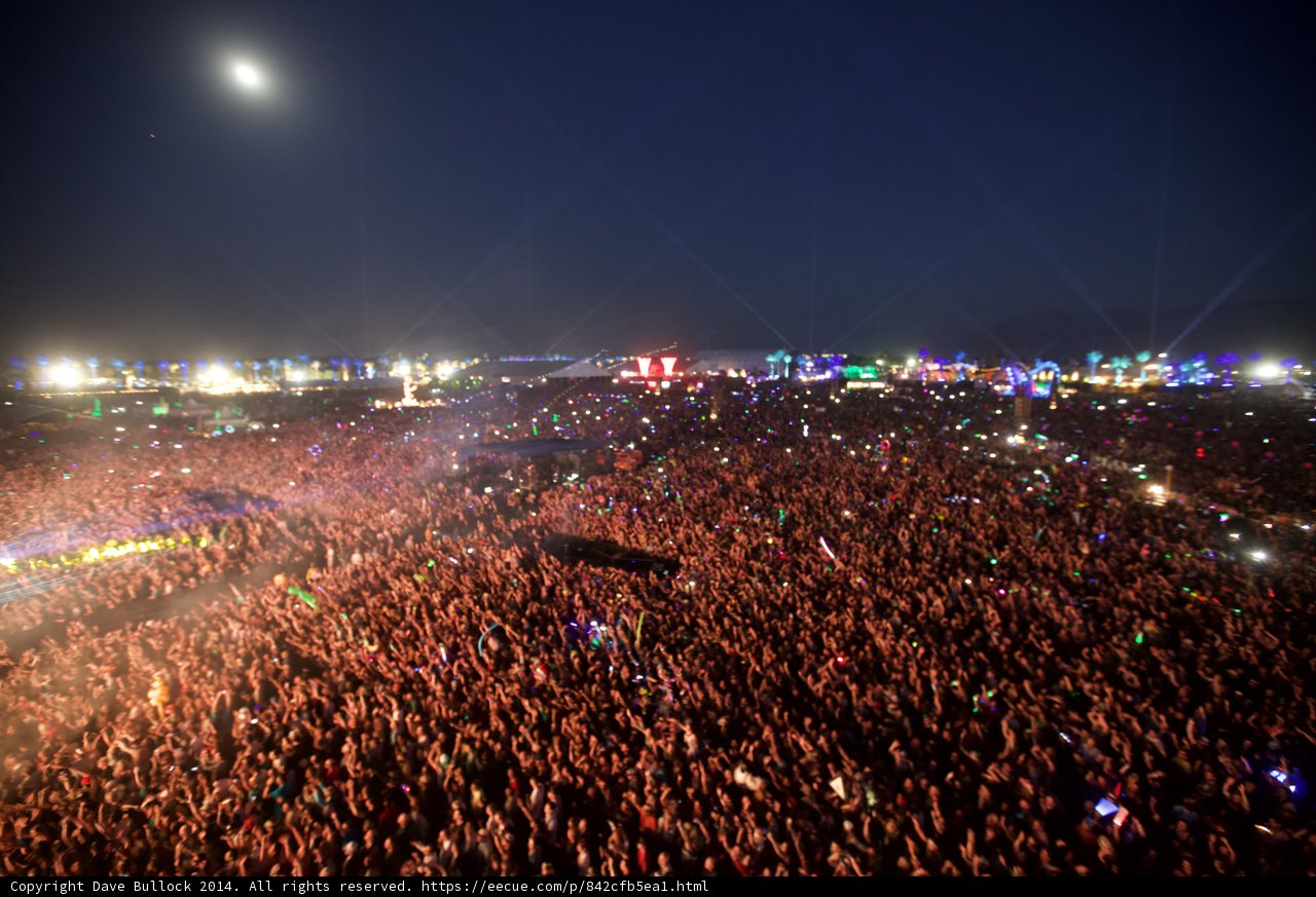 Moonlit Mayhem