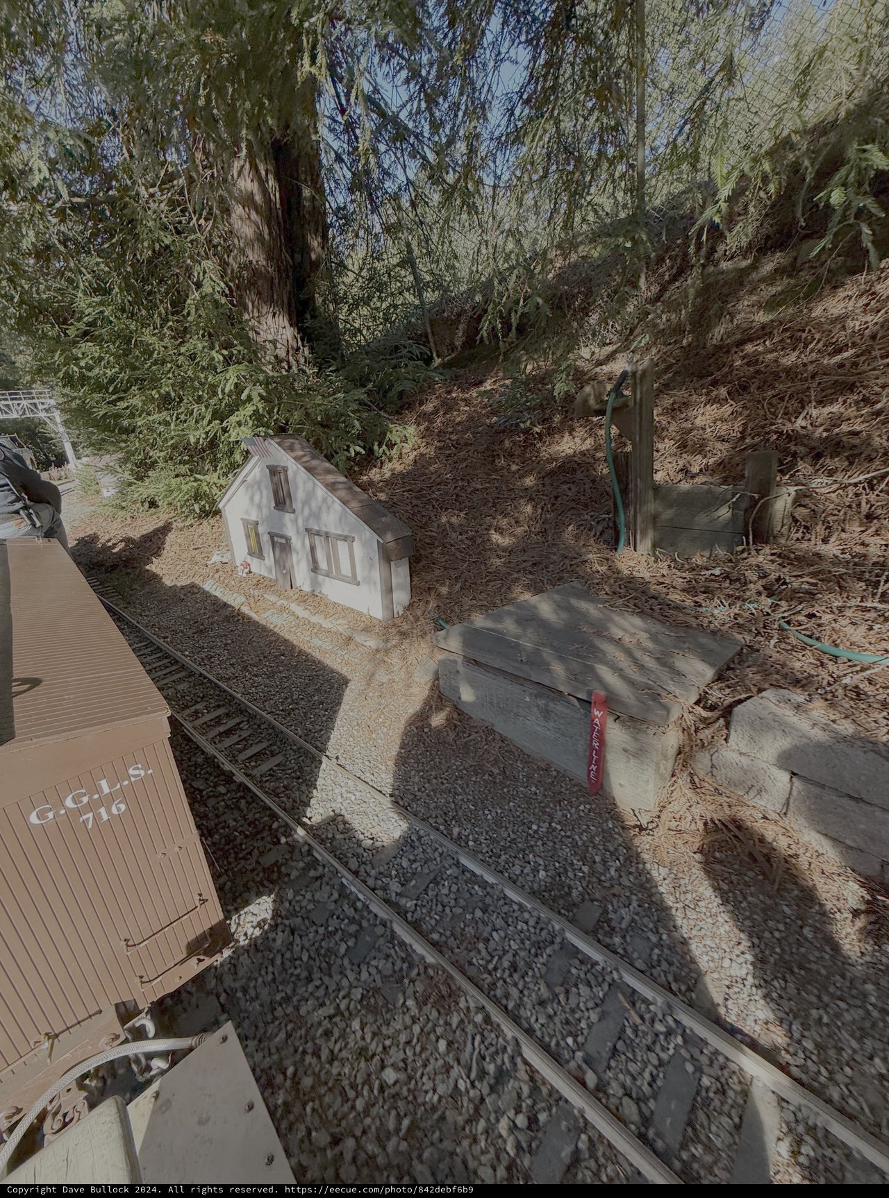 Miniature Railway Scene in Wooded Cutting