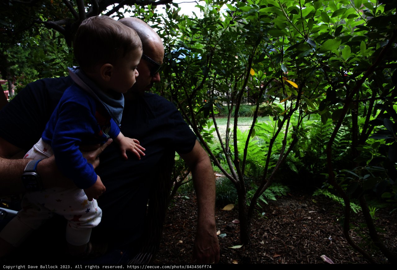 Cherished Moments at Disneyland