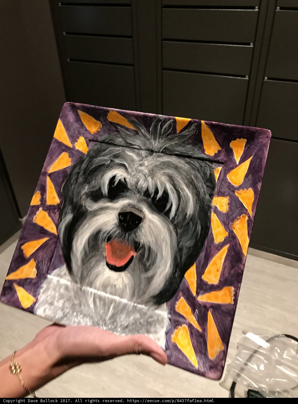 Creative Pet Portrait