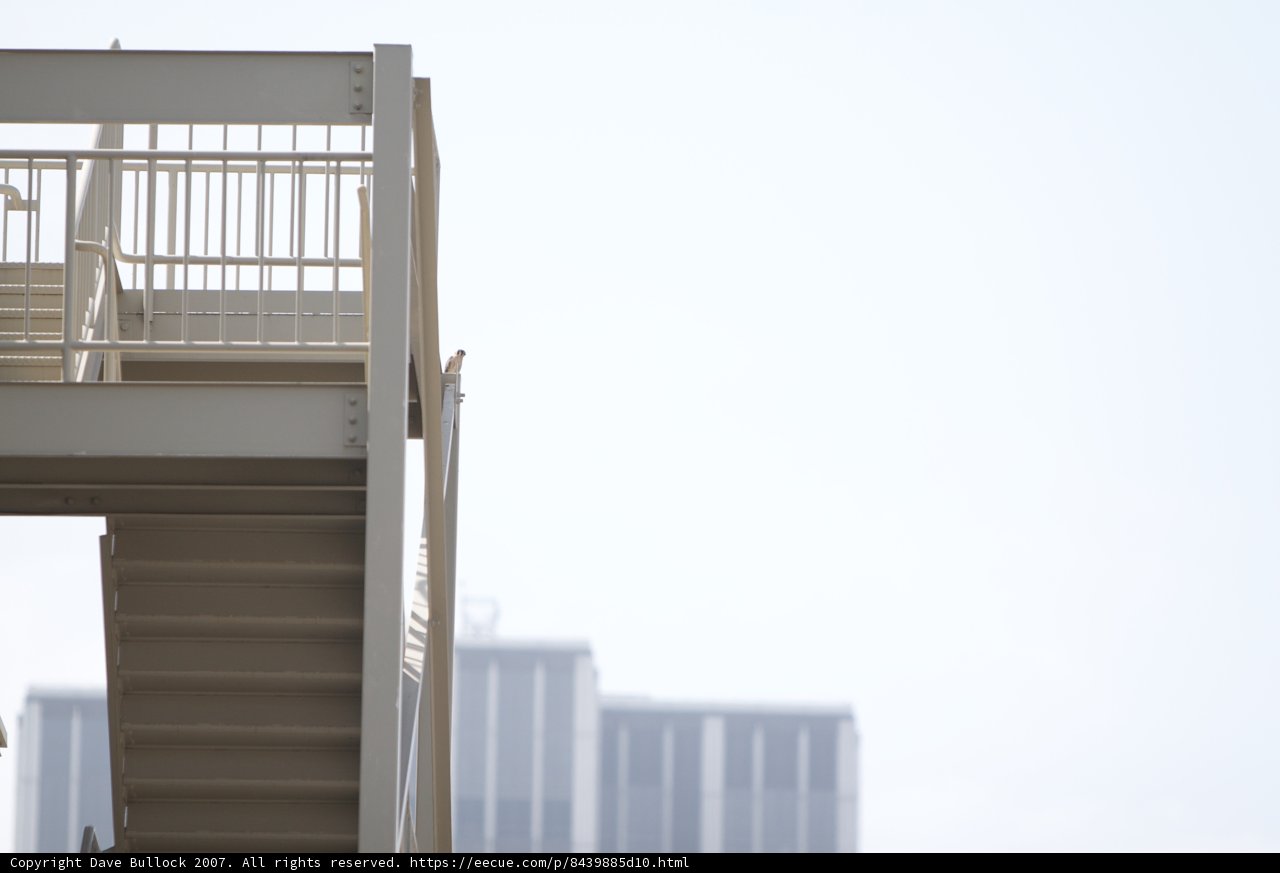 Skateboarder Conquers Staircase Handrail