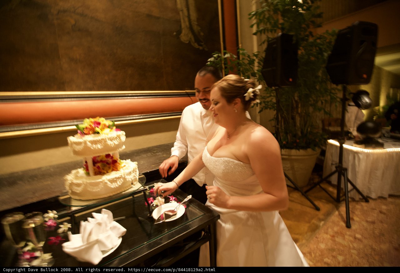 Cutting the Wedding Cake