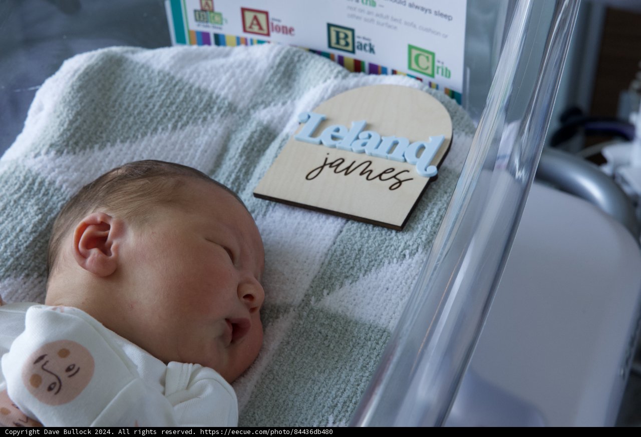Welcome to the World, Leland James