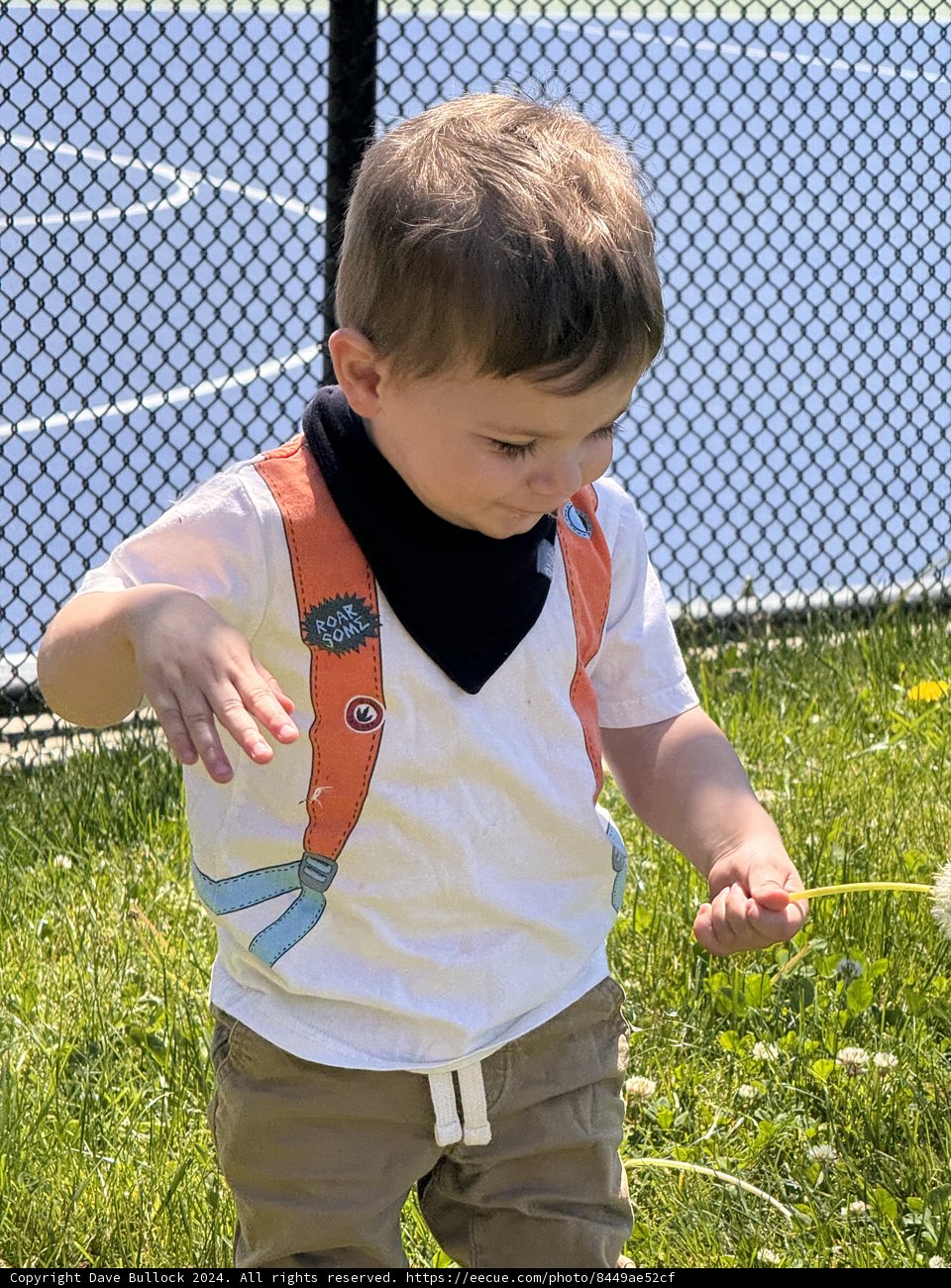 Exploring Nature's Playground