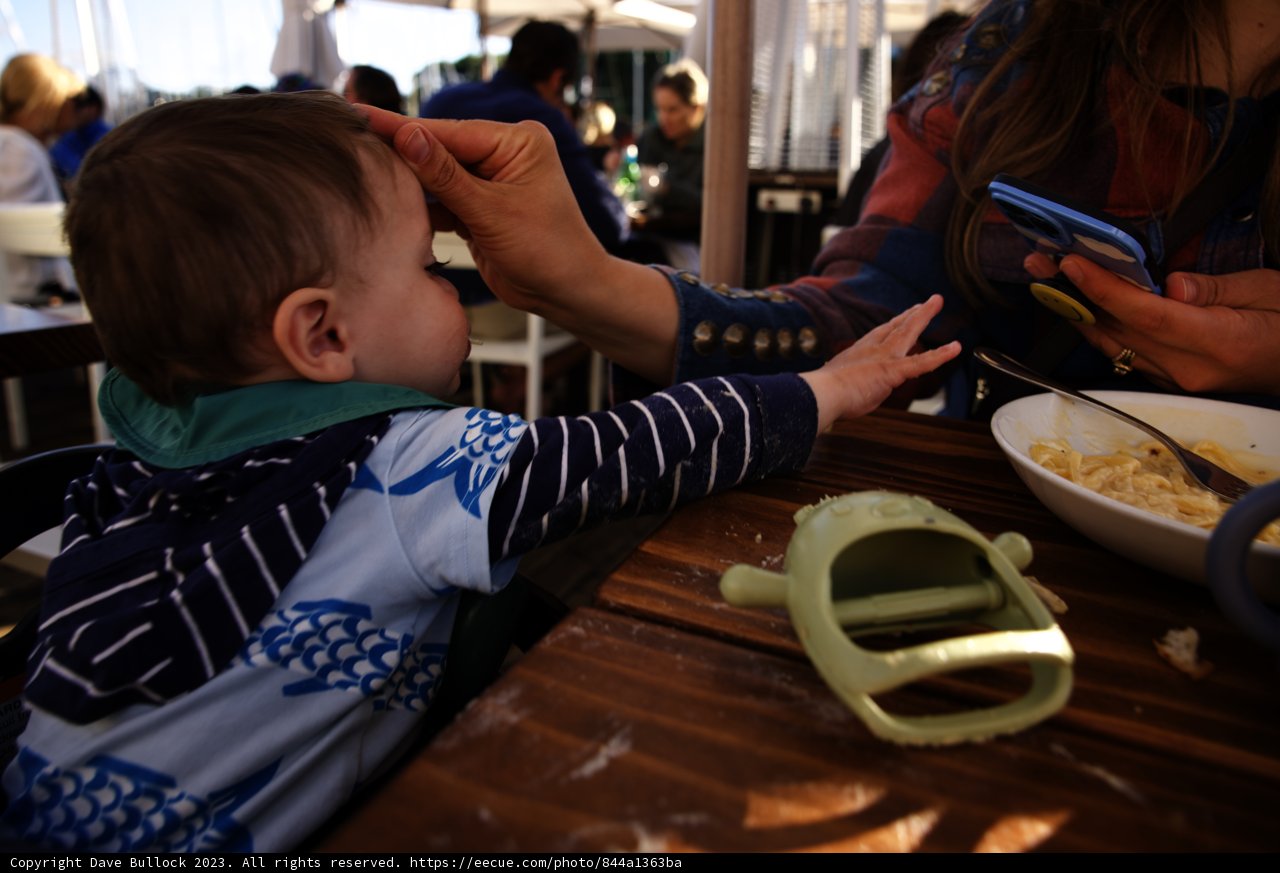Little Explorer's First Restaurant Adventure