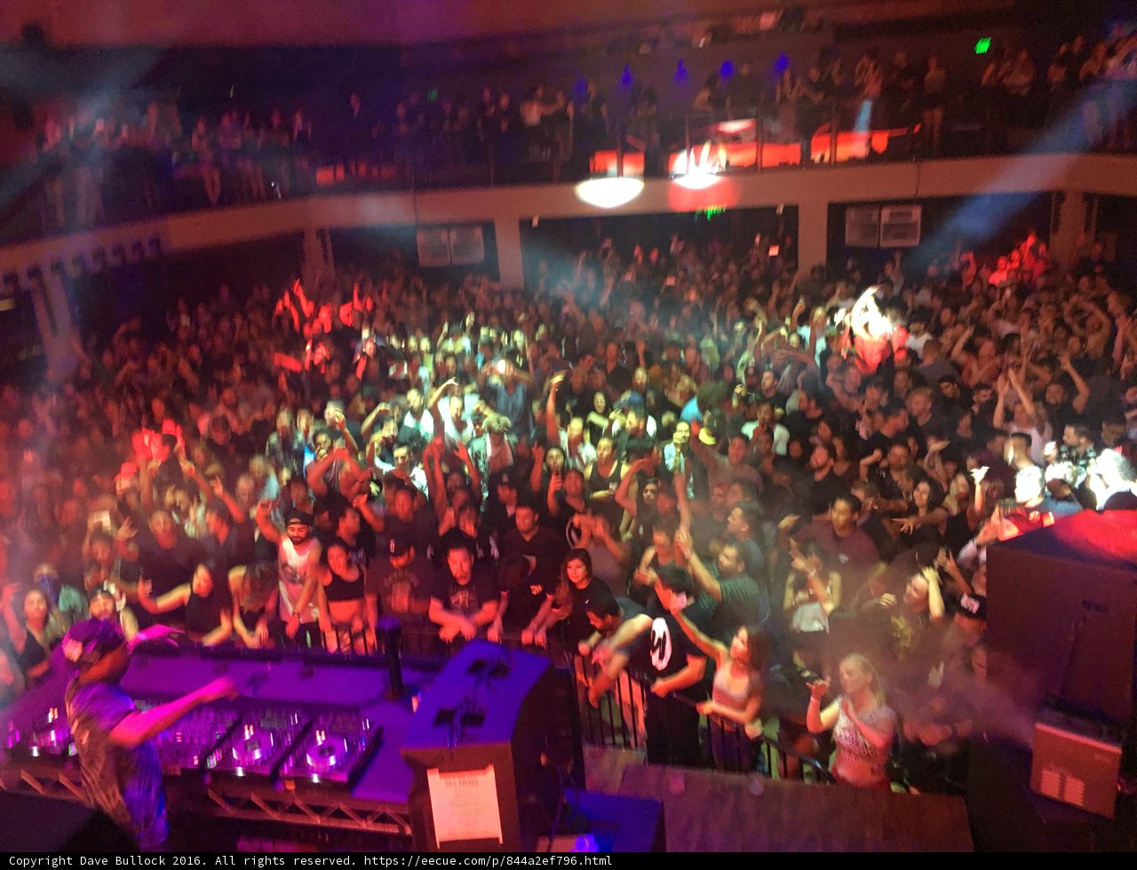 Night Club Fun in LA