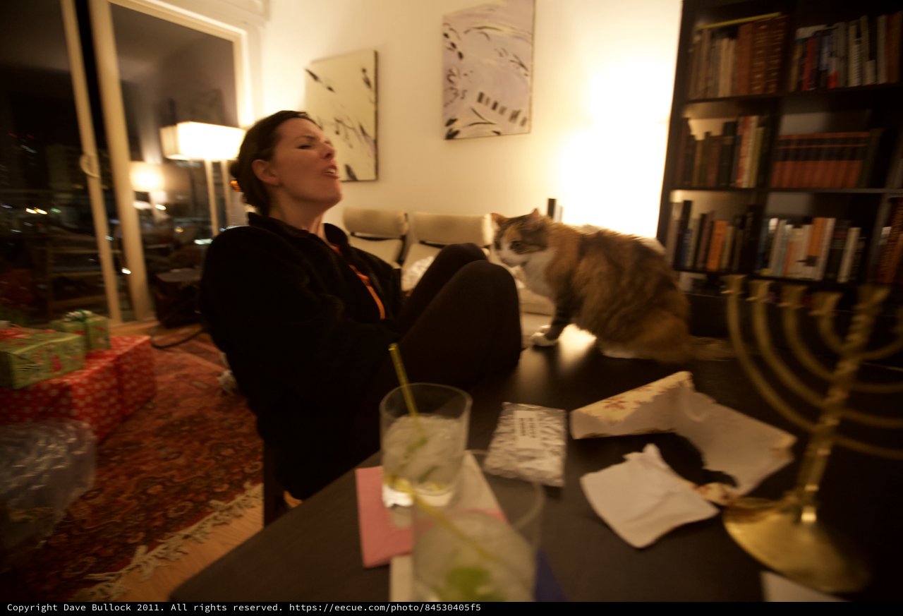 Hanukkah Evening with Cat and Cocktail at Home