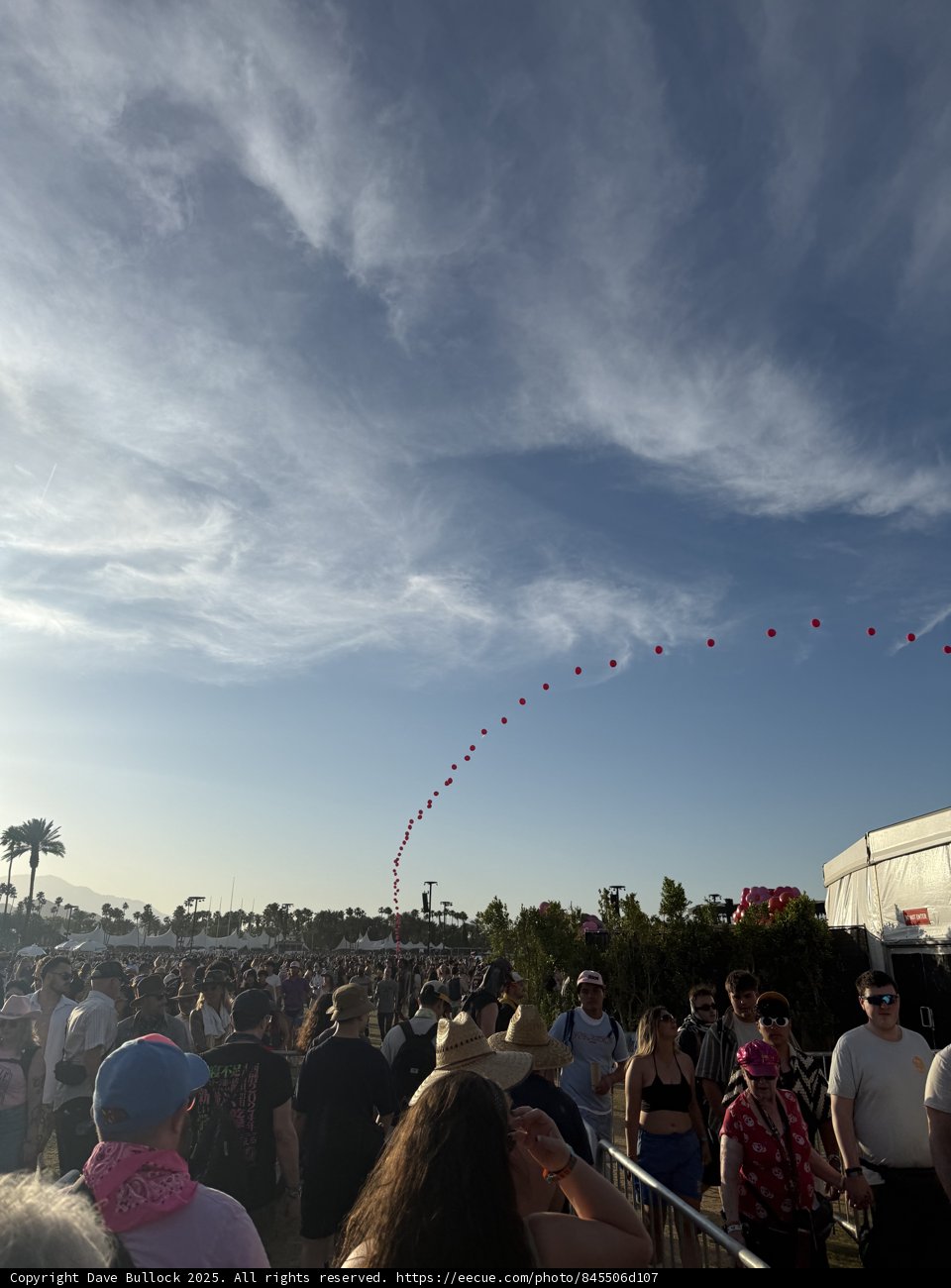 Festival Vibes at Dusk