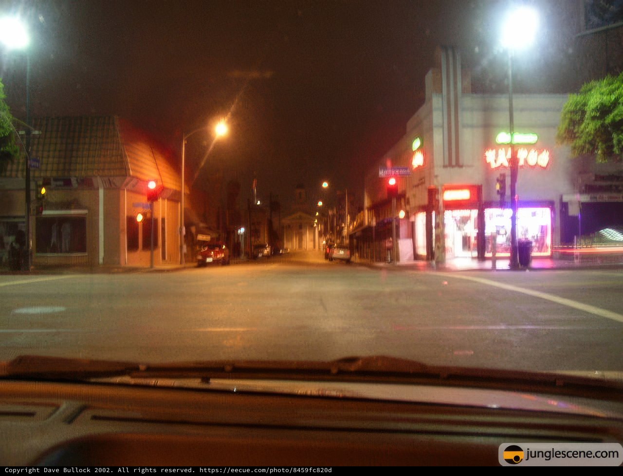 Nightlife in the Metropolis