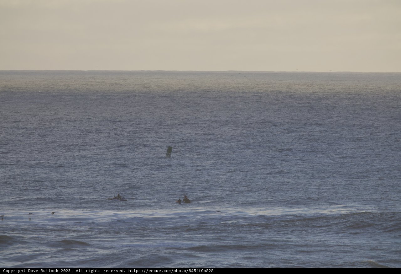 Conquering the Waves: Surfers at Dusk