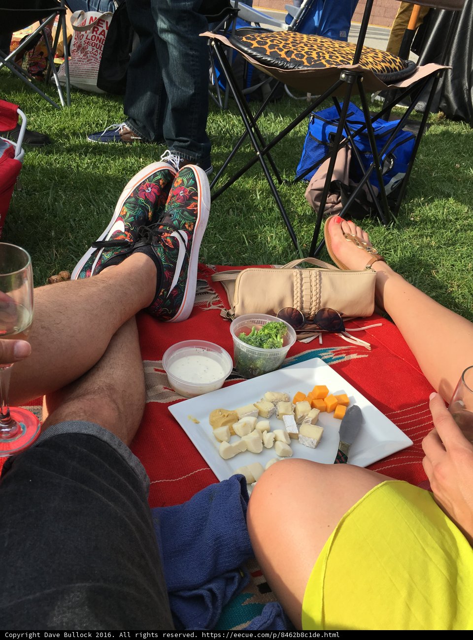 Summer Picnic in Hancock Park