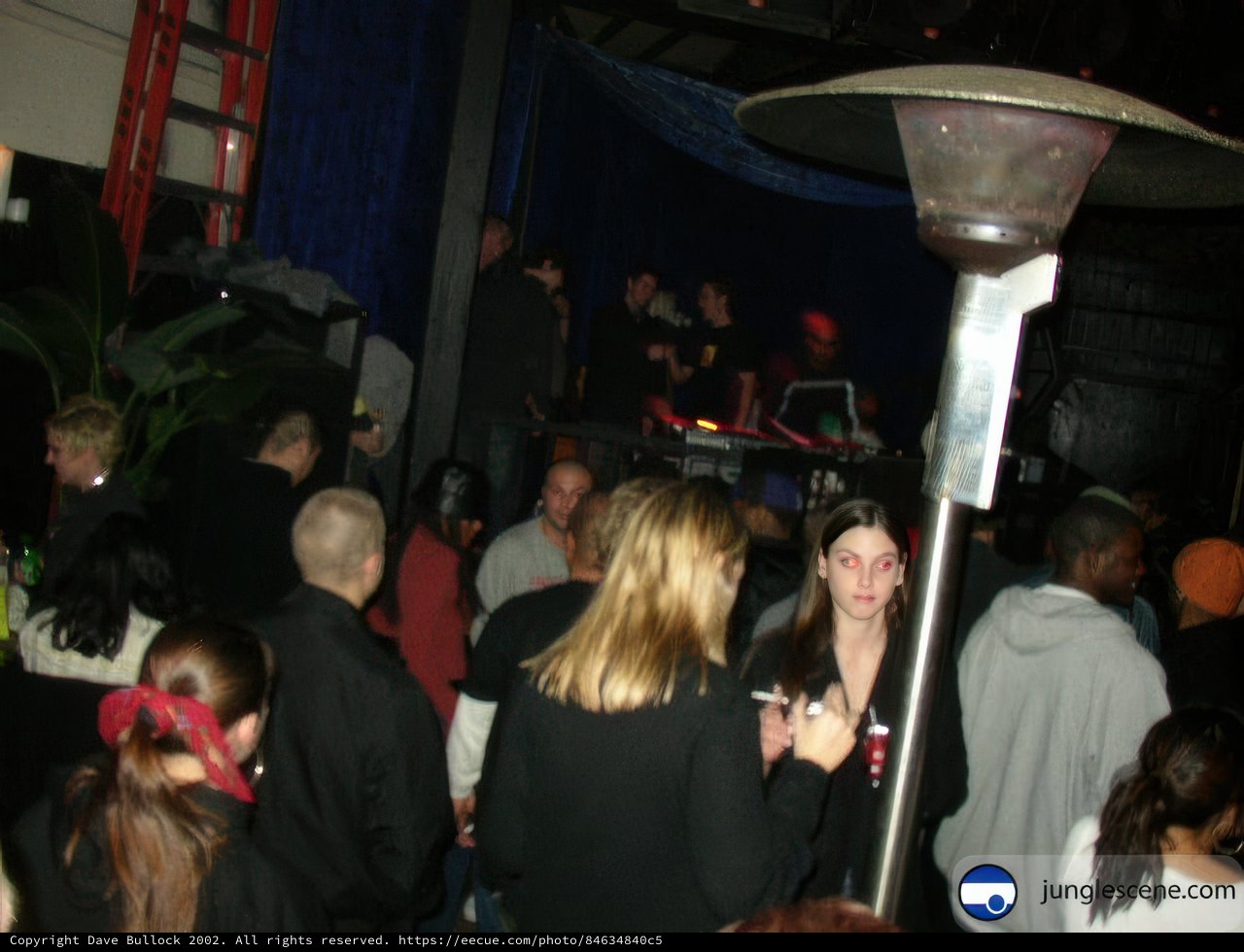Nightclub Fun with Friends