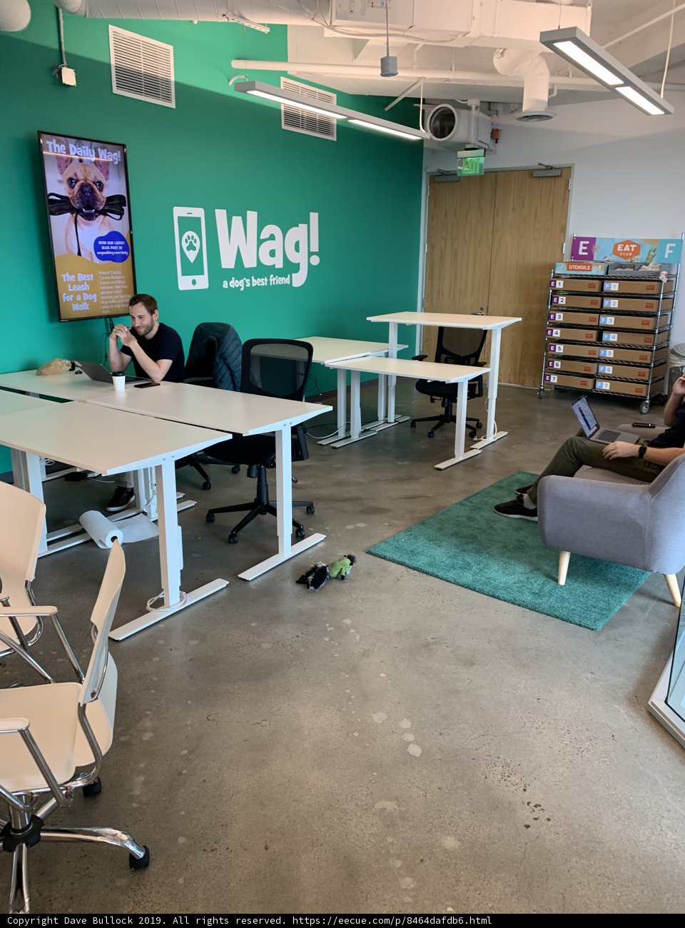 Inside the Wag Office