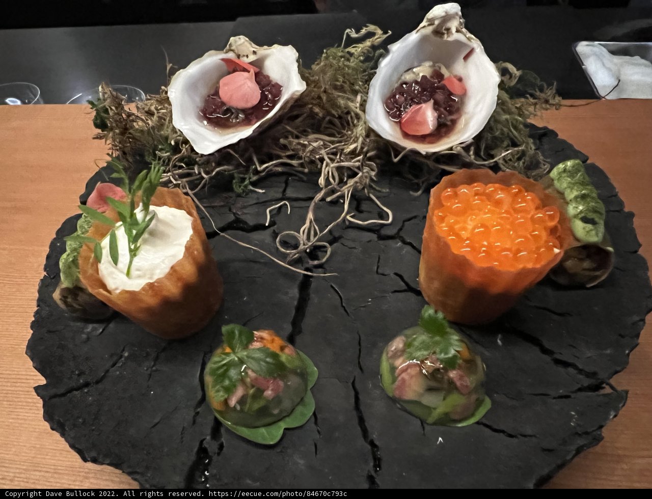 Brunch with Sea Life