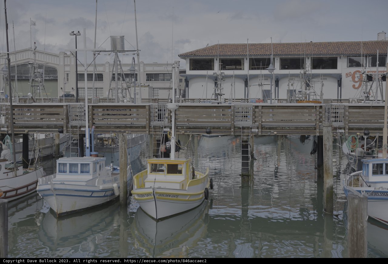Serene Harbor in 2023