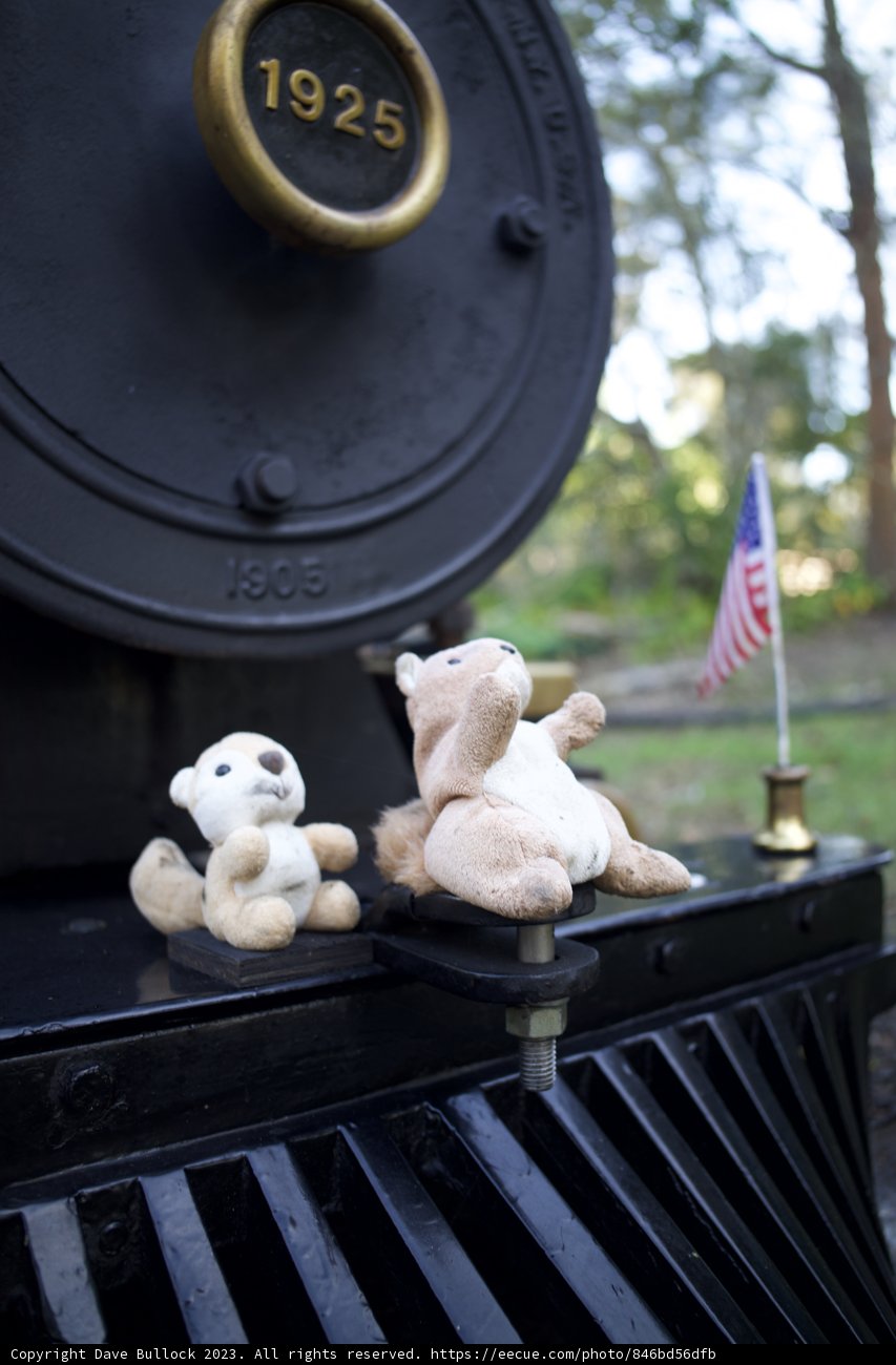 Journey of the Plush Companions on the Midnight Express
