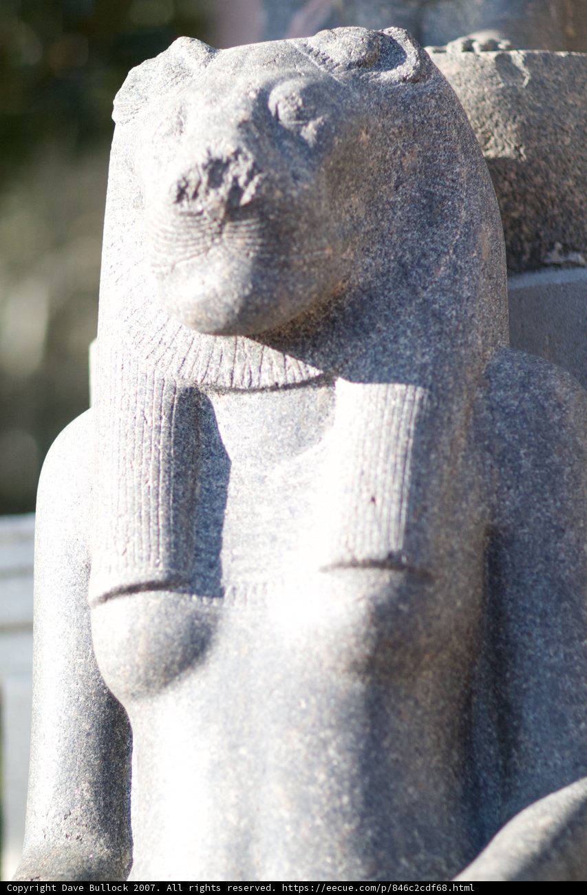 Regal Lion Statue with a Mysterious Head