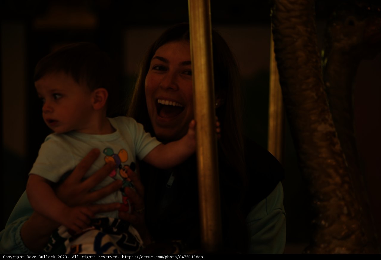 Enchanting Carousel Adventure