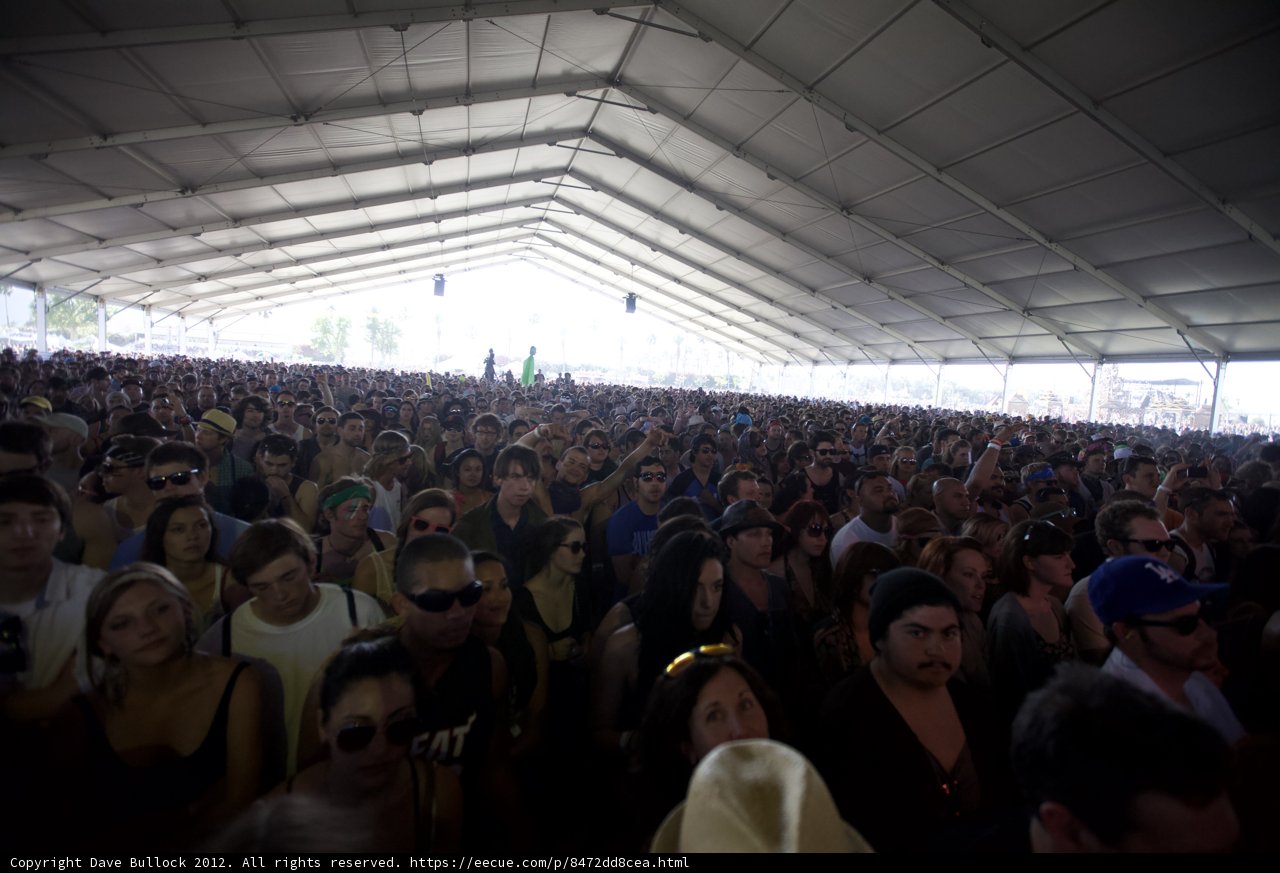 The Massive Crowd at Coachella