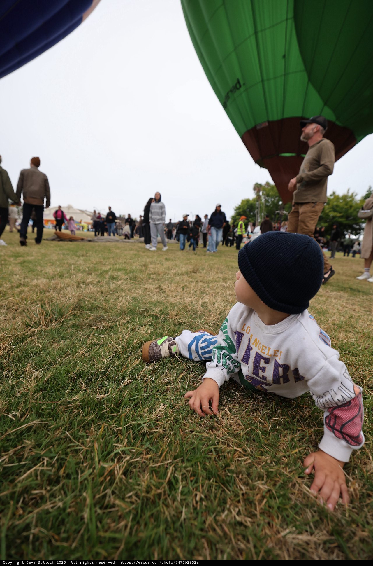 Baby's First Balloon Festival: A Ground-Level Wonder