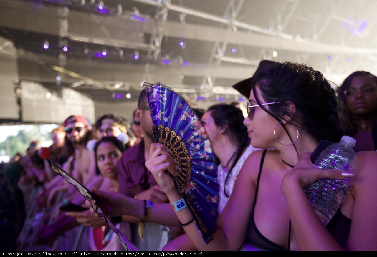 Summer Fun at Coachella