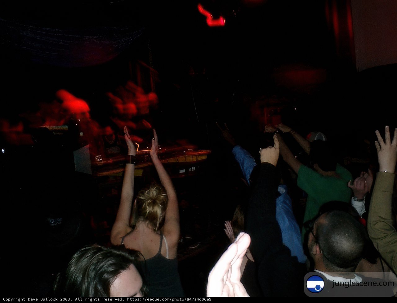 Nightclub Crowd Goes Wild