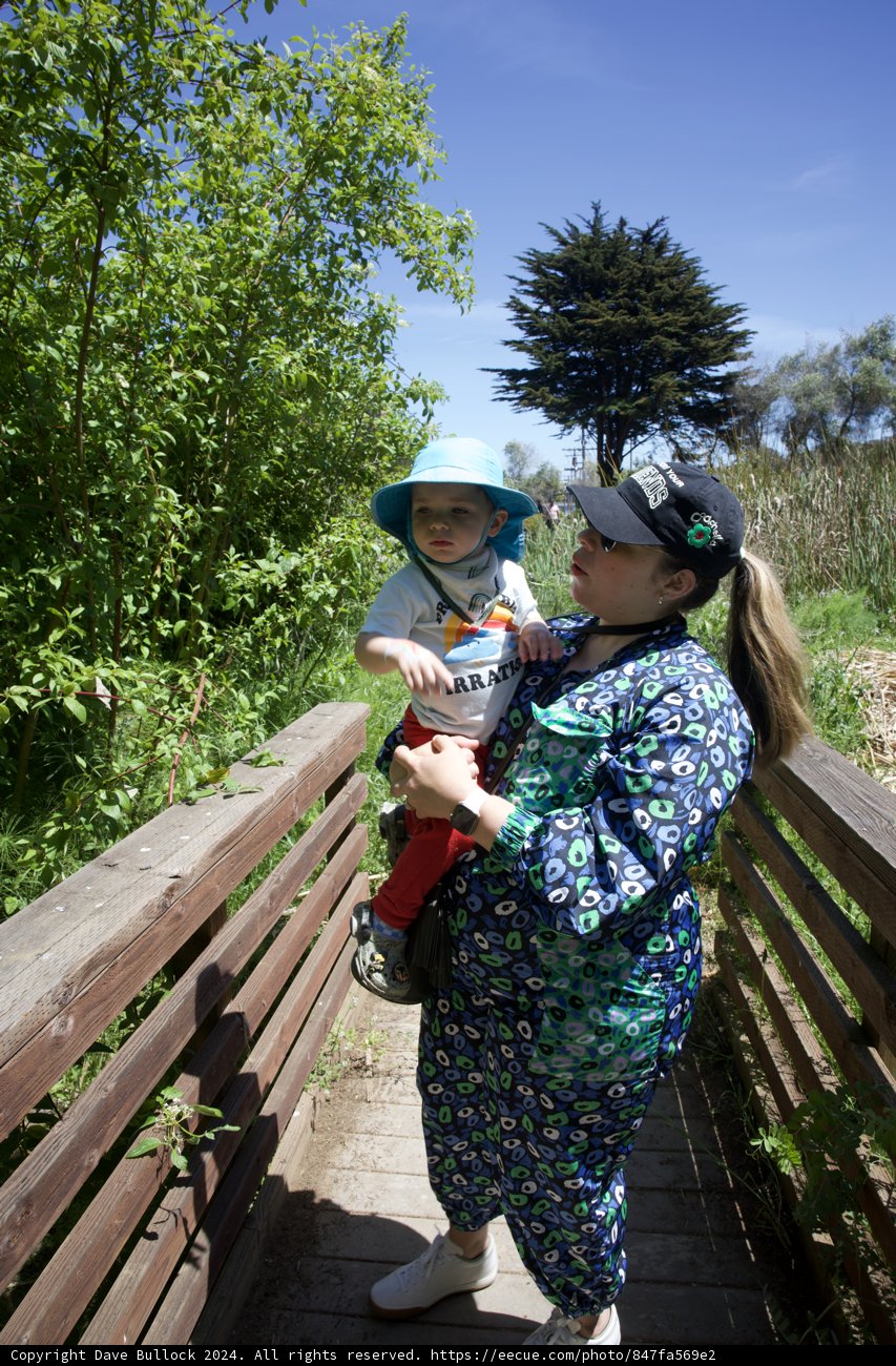 A Mother's Embrace at Alemany Farm