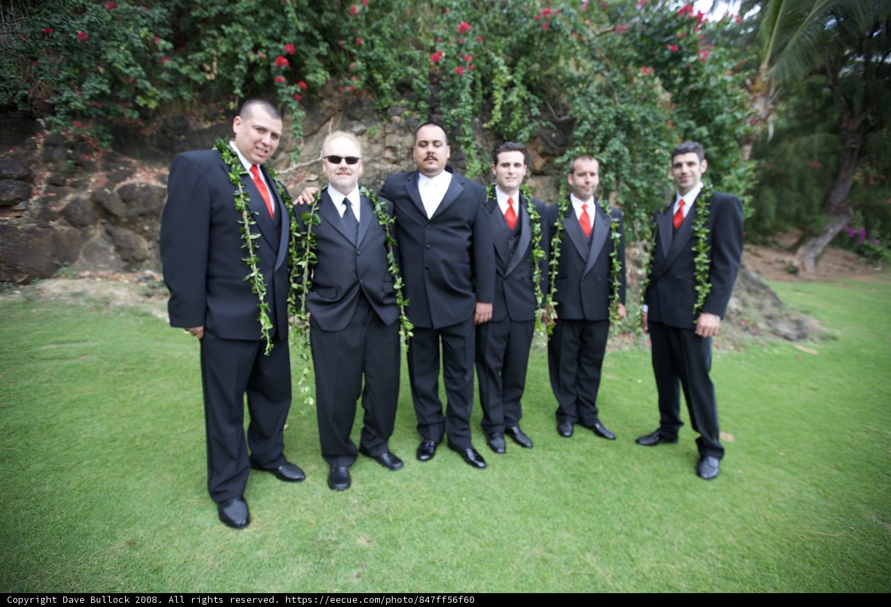 Hawaiian Wedding Party
