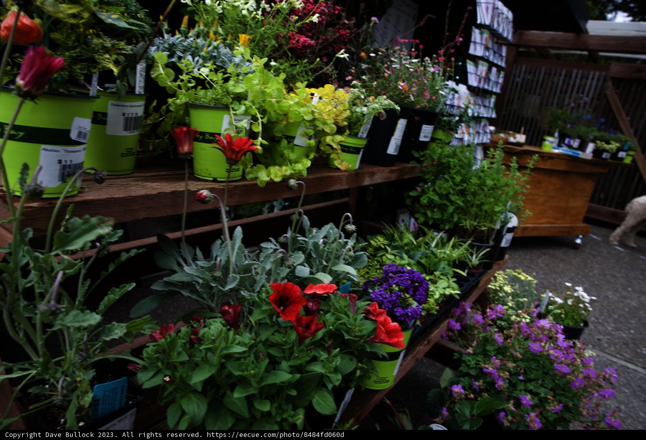 Serene Shelf of Botanical Treasures