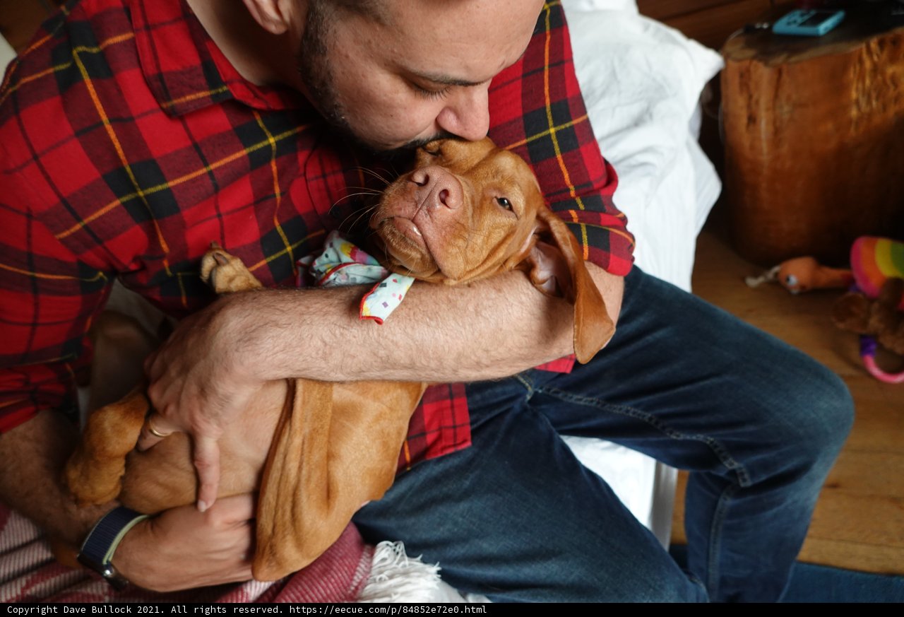 Man and His Furry Companion