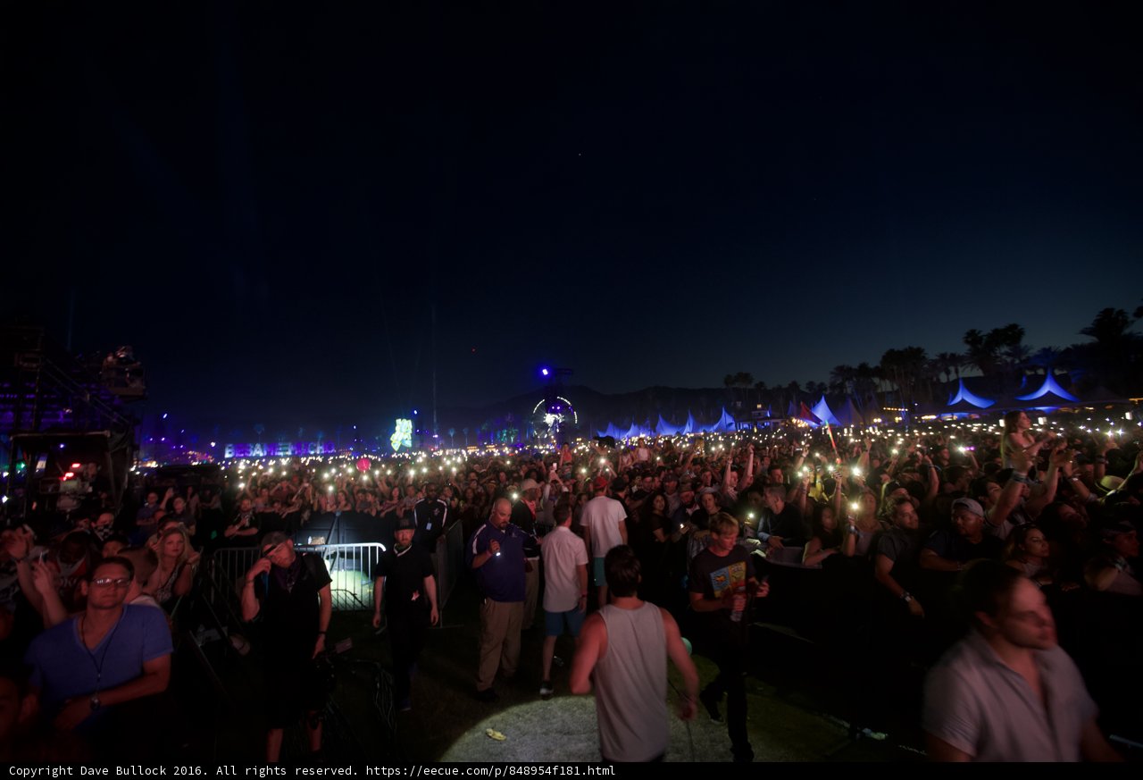 Night of the Music Lovers