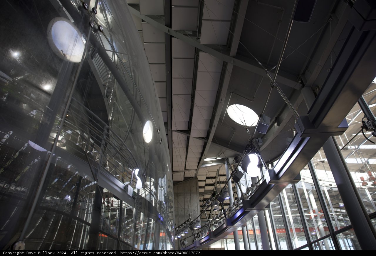 Urban Architecture Marvel - California Academy of Sciences Rainforest