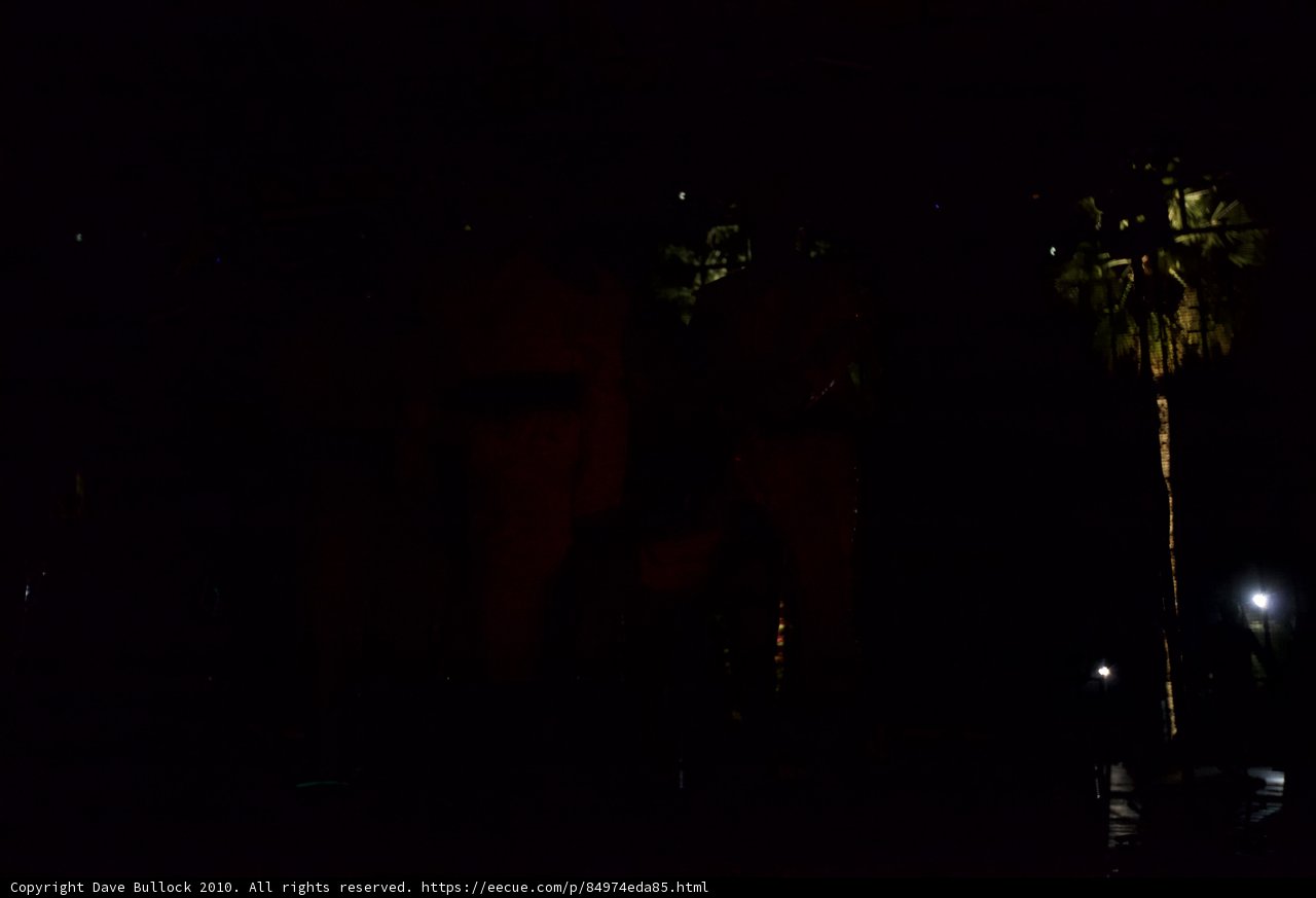 Palm Tree Silhouettes in the Night Sky
