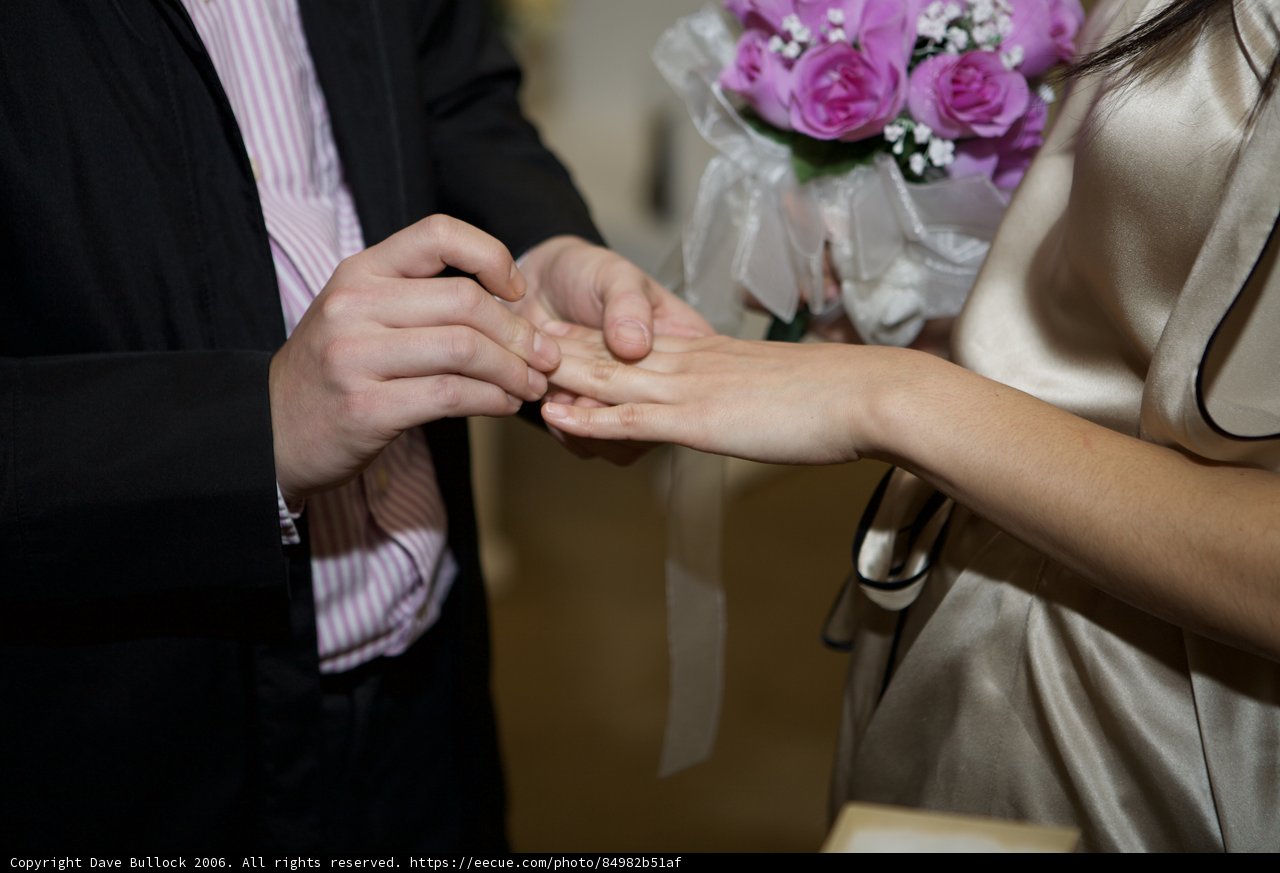 Wedding Bliss