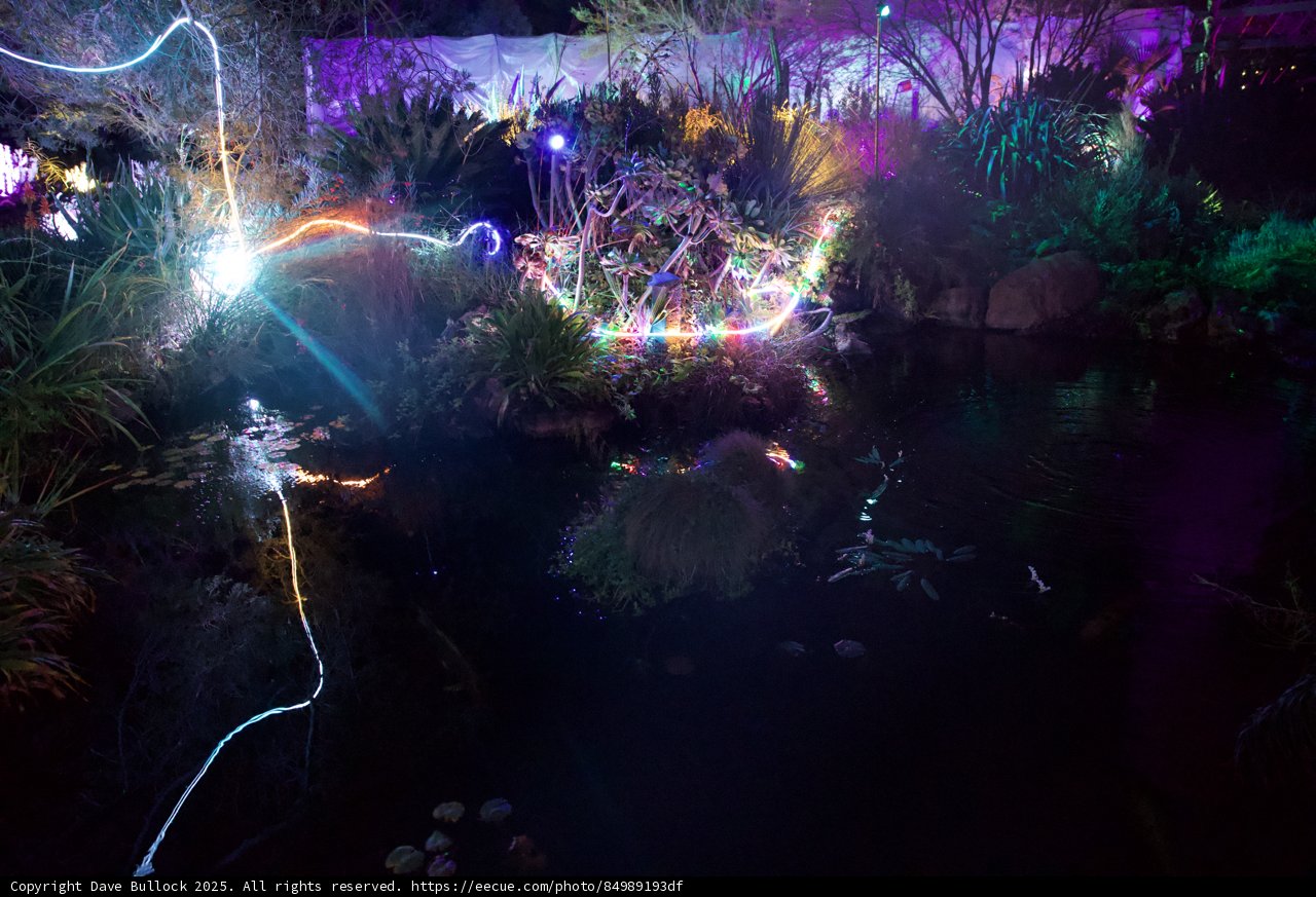 Enchanted Waters