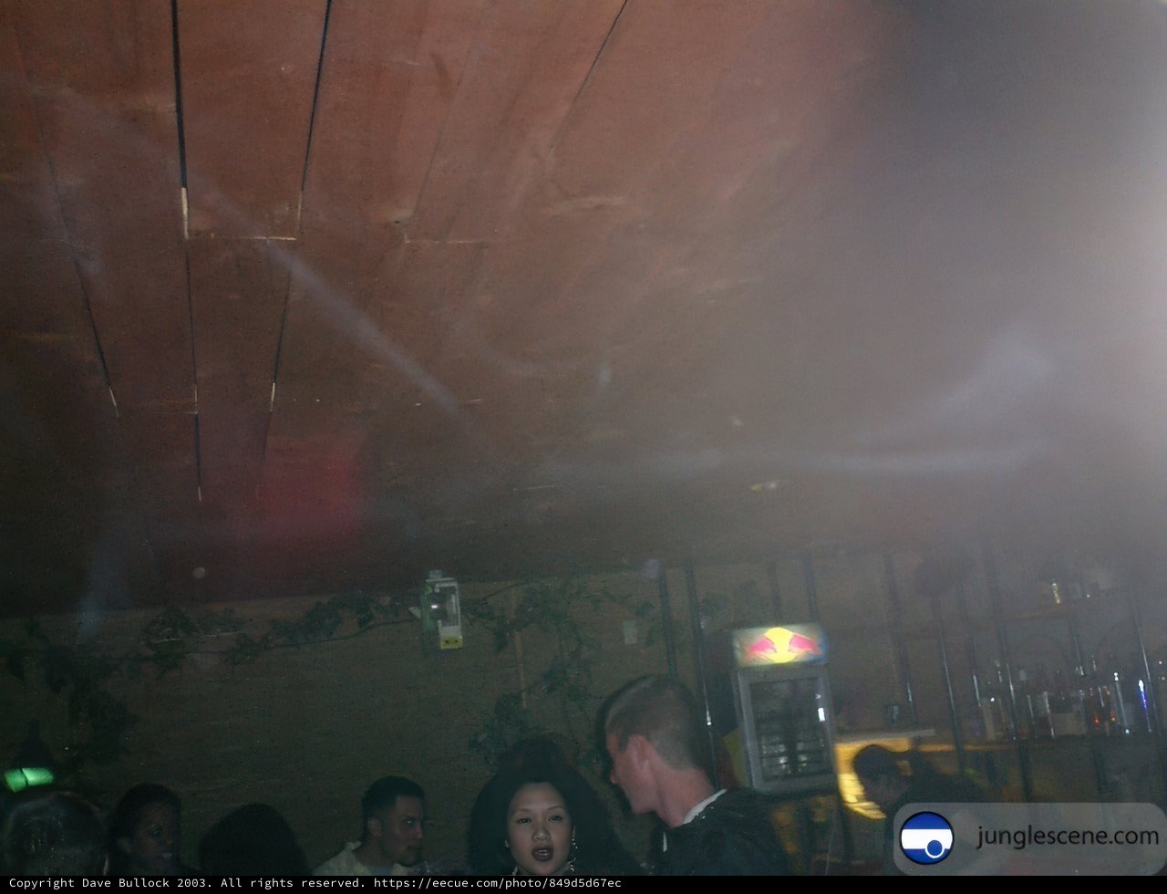 Nightclub Gathering