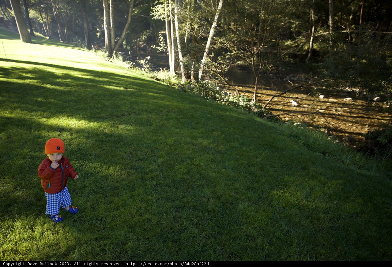 Childhood Exploration Amidst Nature