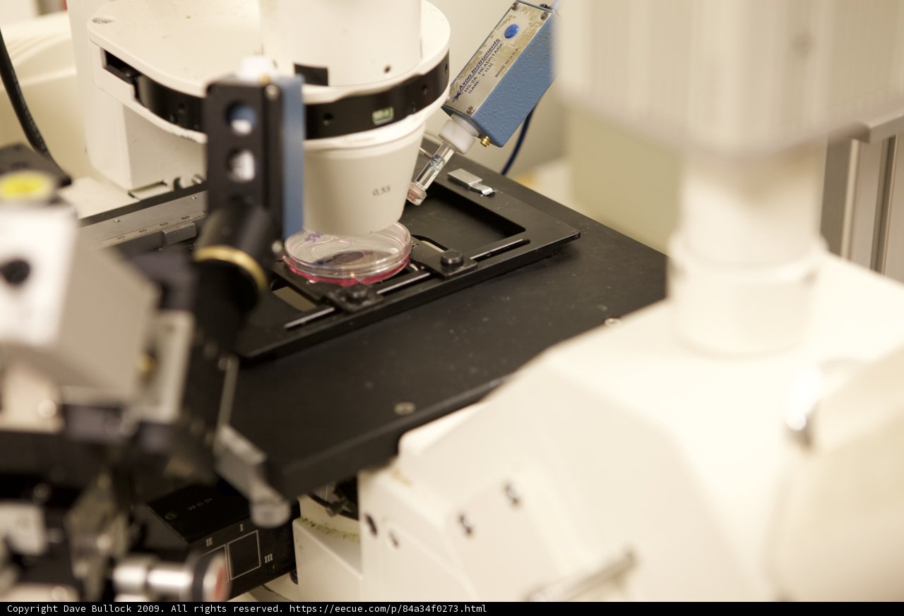 Observing the Microscopic World