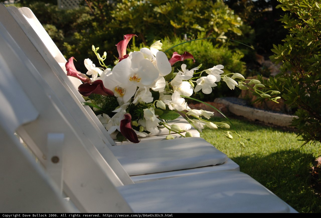 Beautiful Bouquet on a Chair