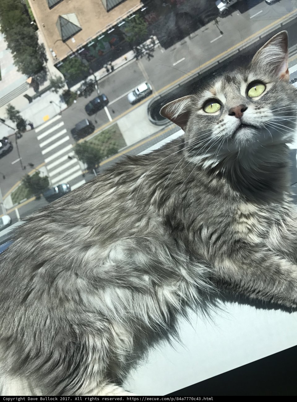 Sunbathing in the City
